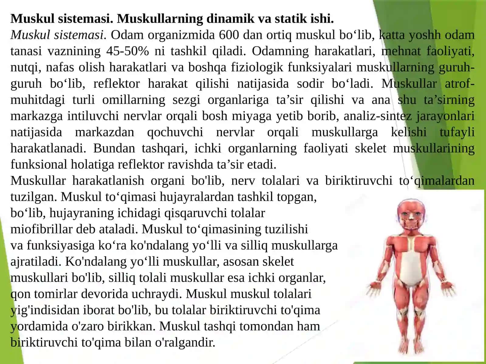Ma’ruza. Tayanch-xarakat apparatining yosh xususiyatlari va gigienasi (2-qism) 2