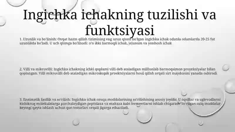 Odam Va Xayvonlar Ingichka Va Yo‘G‘On Ichagida Ovqat Hazm Bo‘Lishini O‘Ziga Xosligi 2