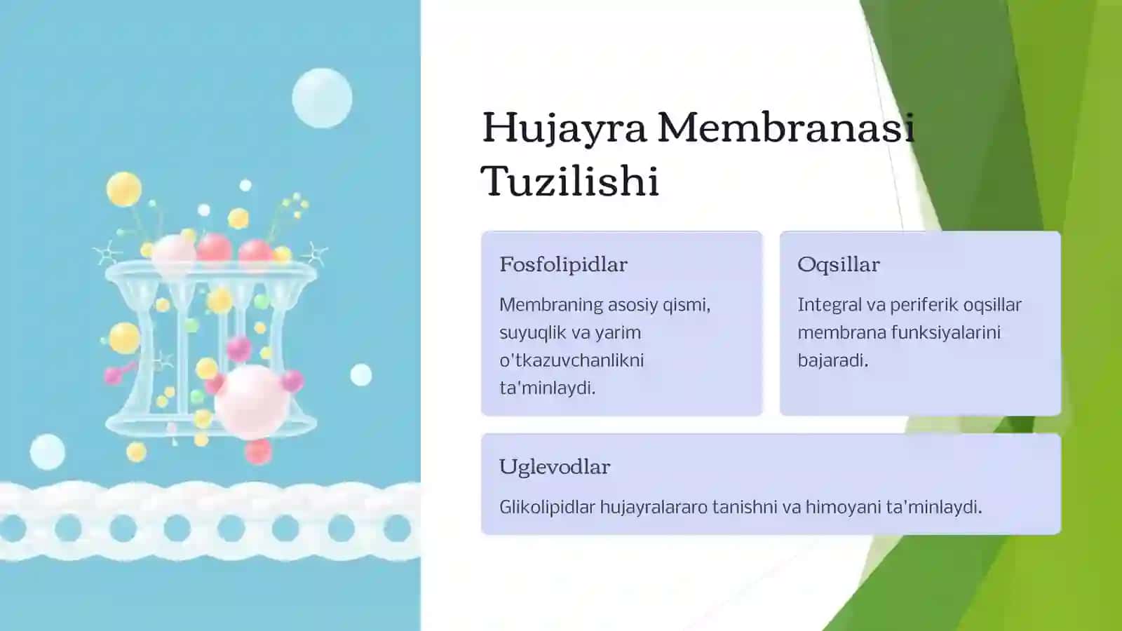 Hujayradagi Transport Jarayonlari 2