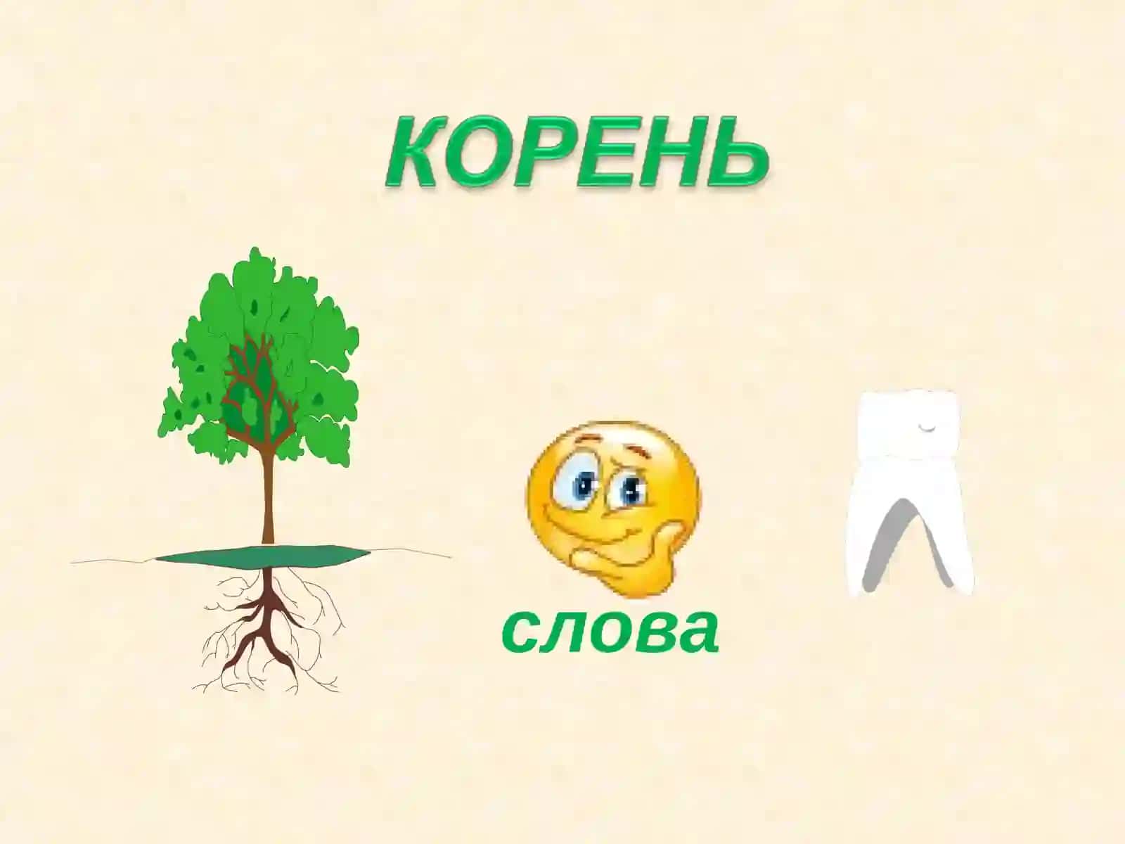 Корень слова 2