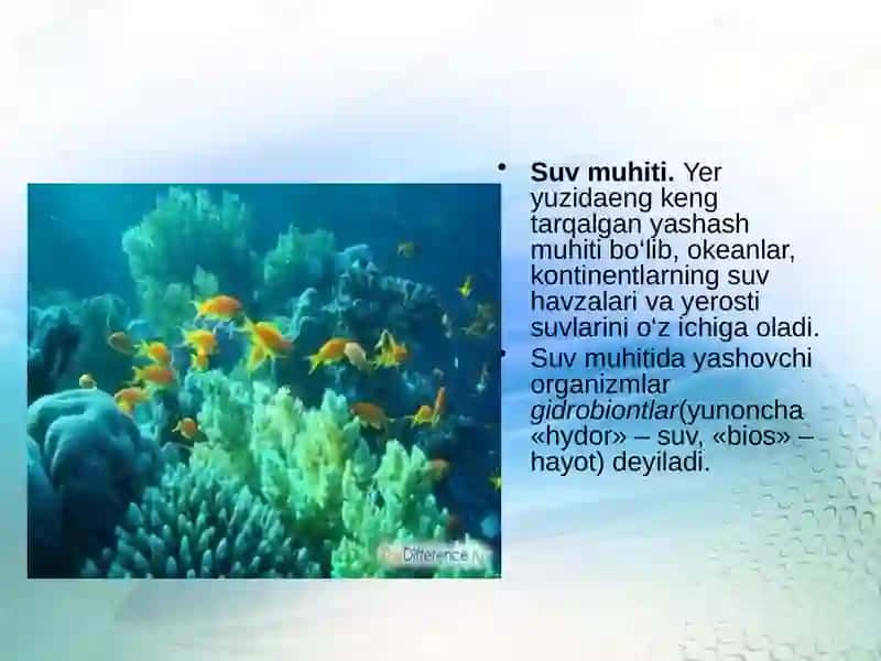 Muhit omillari va ularning tasnifi 2