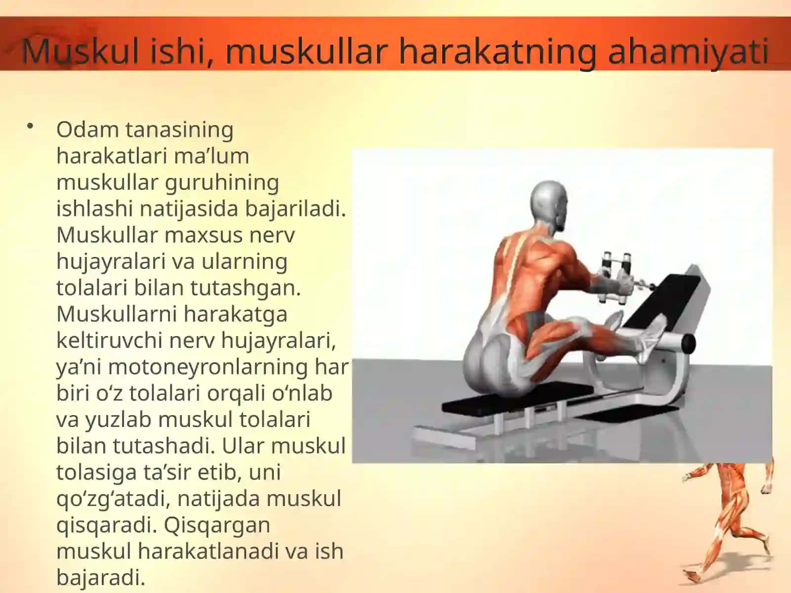 “Muskullarning ishlashi” mavzusi 2