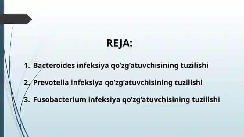 Patogenanaerobklostridialbo'lmaganinfektsiyaqo'zg'atuvchilari(Bacteroides,Prevotella, Fusobacterium)kasalliklarpatogenezi,laboratortashhisi 2