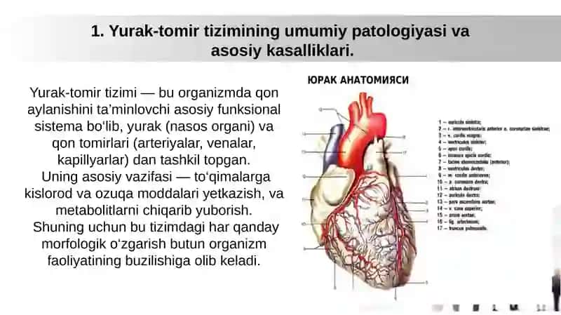 YURAK-TOMIR TIZIMI KASALLIKLARI BO’YICHA DIAGNOZLAR TUZISH VA O’LIM HAQIDAGI MA’LUMOTNOMA 2