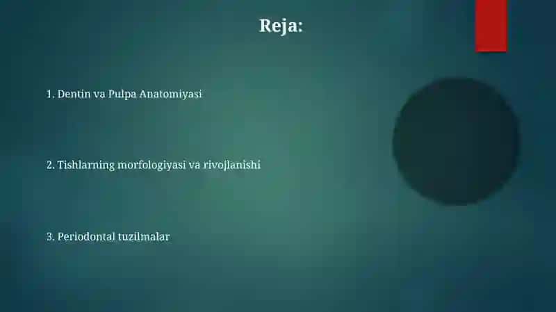 Tishlarning klinik anatomiyasi 2