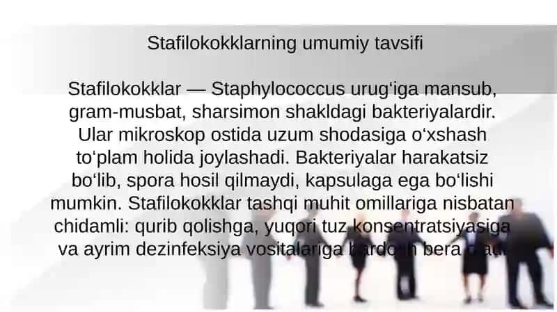 STAFILOKOKKLAR QOʻZGʻATUVCHISI, KLINIKASI VA LABORATORIYA DIAGNOSTIKASI 2