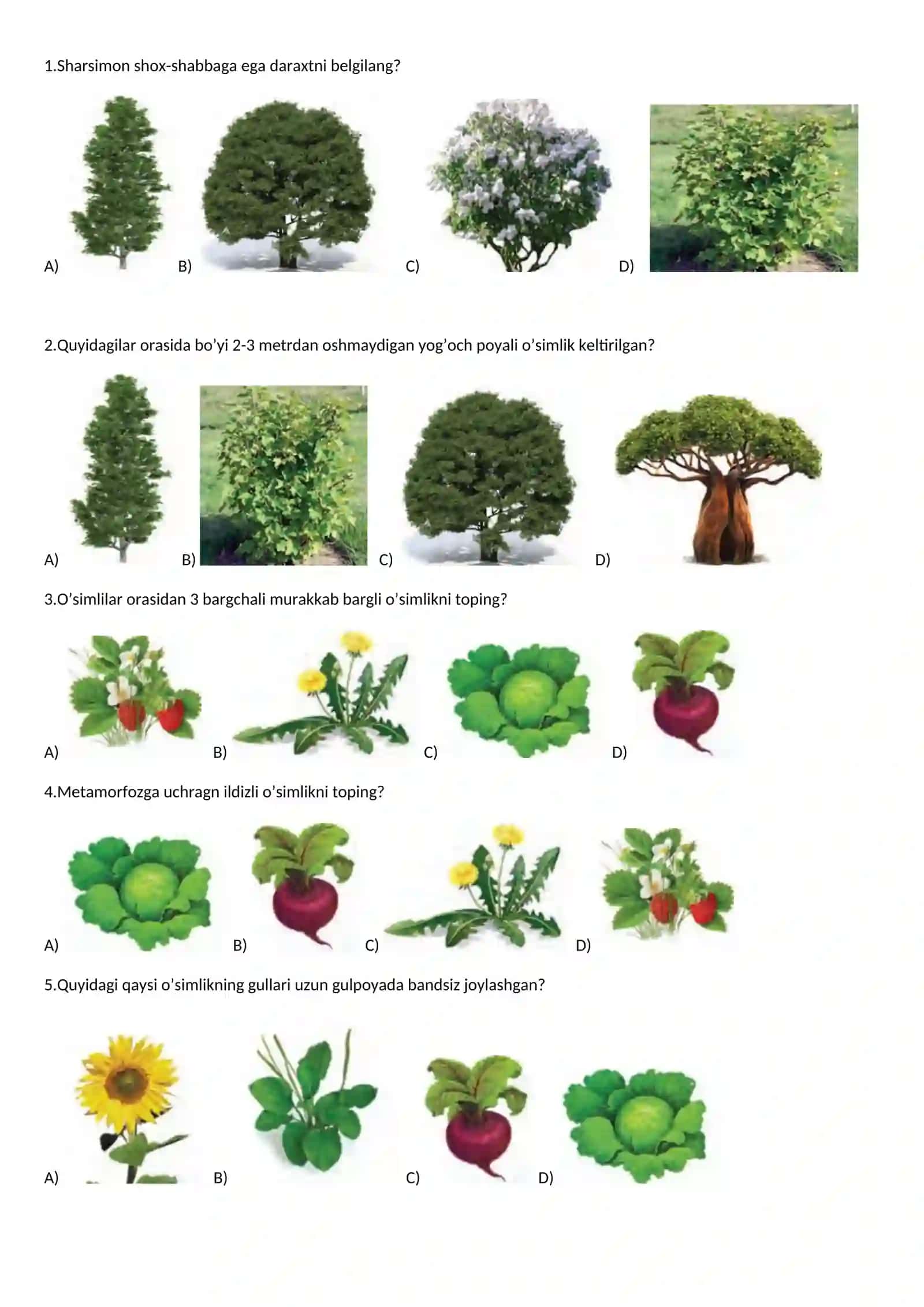 Biologiya Fanidan Savolli Pisga Testlar 2