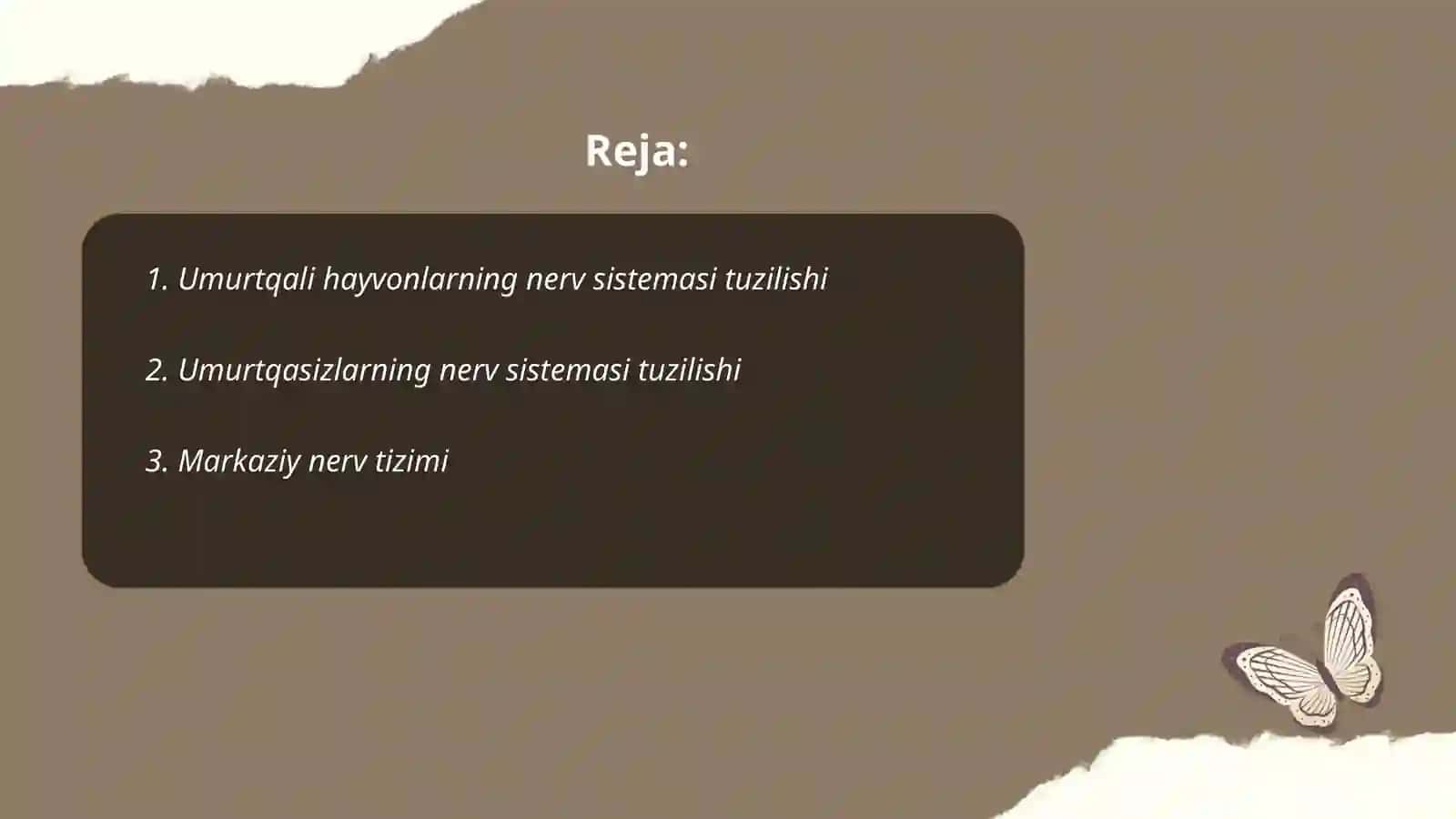Umurtqali va umurtqasizlarning nerv sistemasini oʻziga xos taʼriflari 2