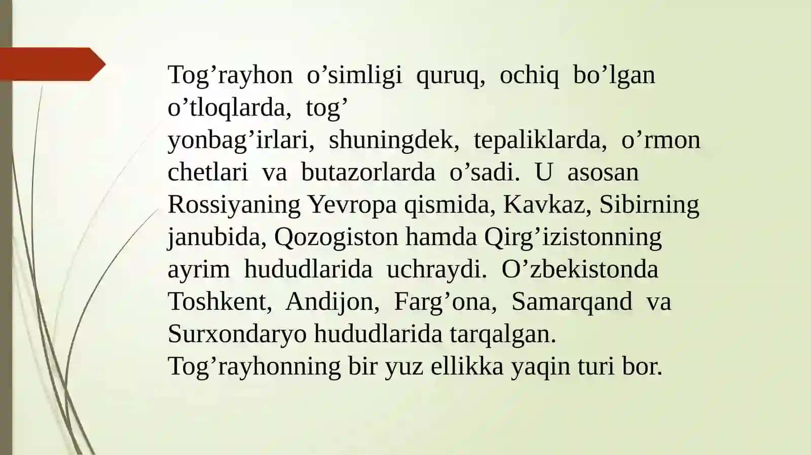 Mayda gulli tog‘ rayhon origanum-tytthanthum gaustch urug‘chiligi va ko‘chatchiligi tahlili 2