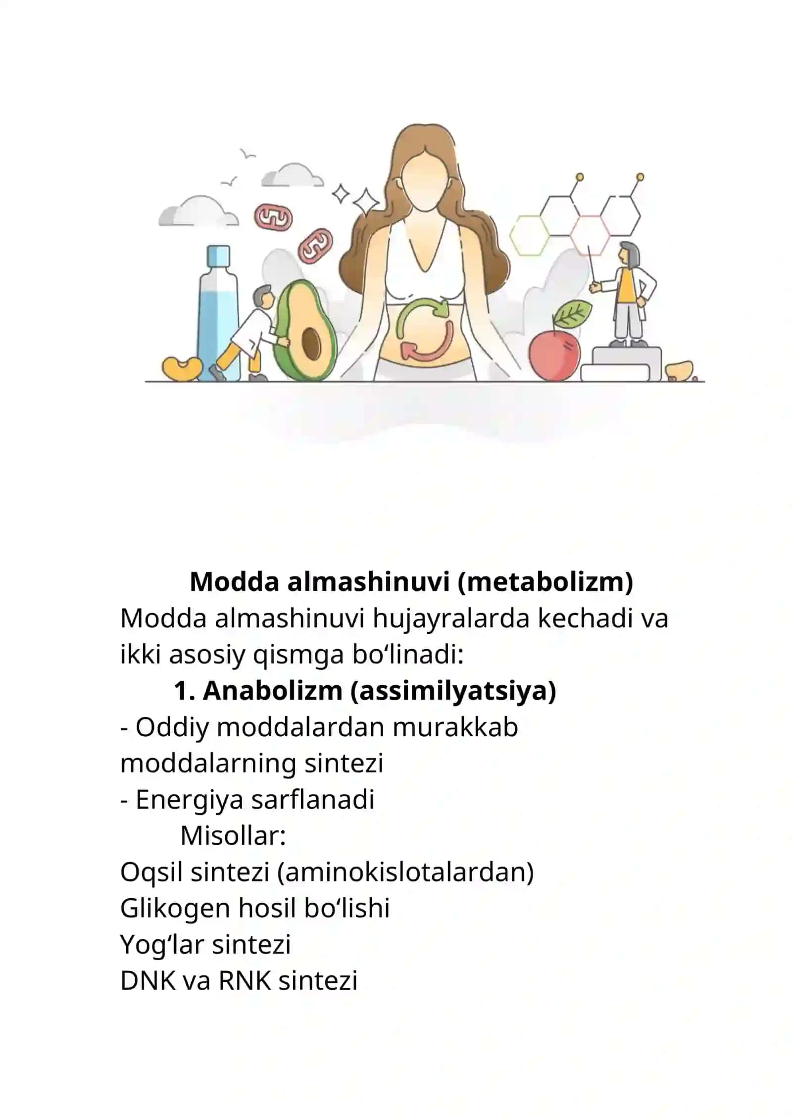 Modda va energiya almashinuvi 2