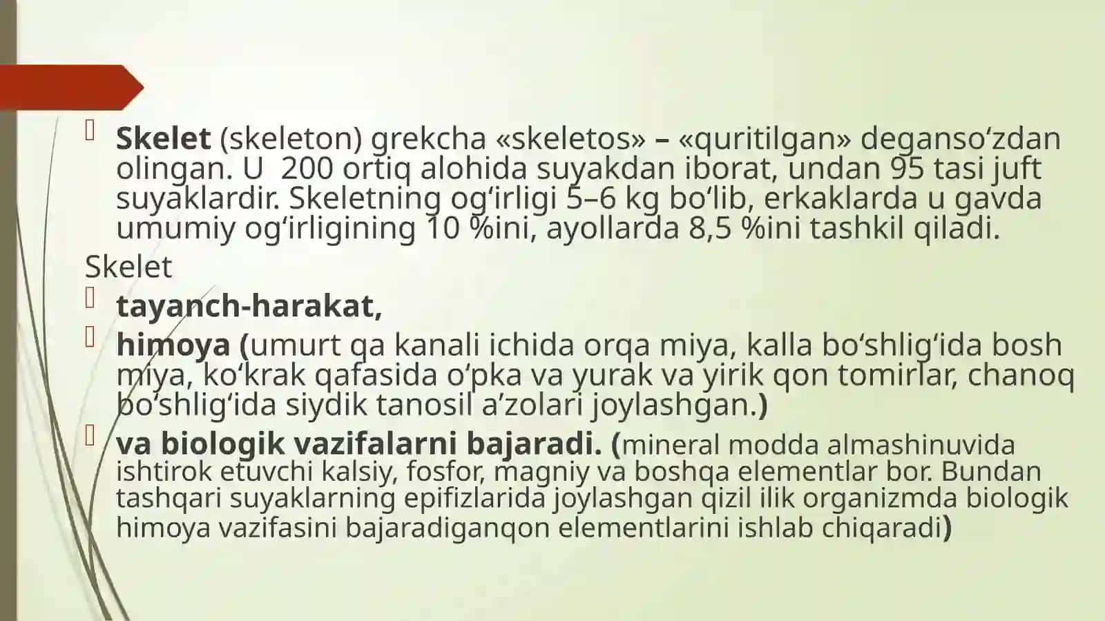 Osteologiya-suyaklarning tuzilishi haqida ilm 2