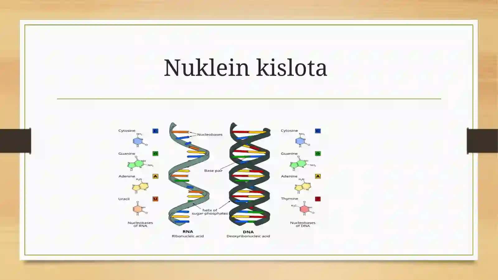 Nuklein kislotalarni duragaylash 2