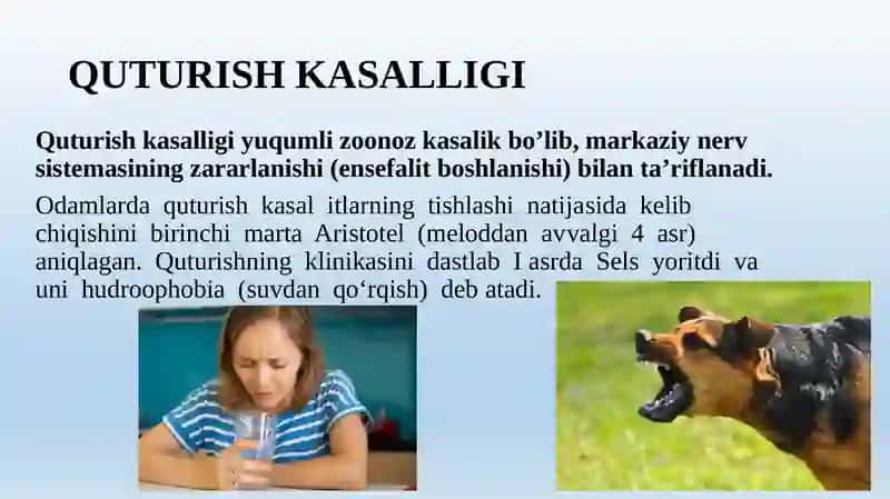Jaroxat infeksiyalari 2