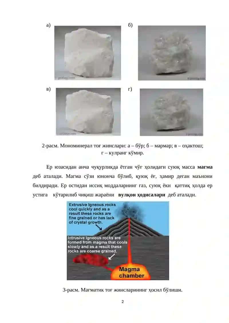 ТОҒ ЖИНСЛАРИ ҲАҚИДА ТУШУНЧАЛАР 2