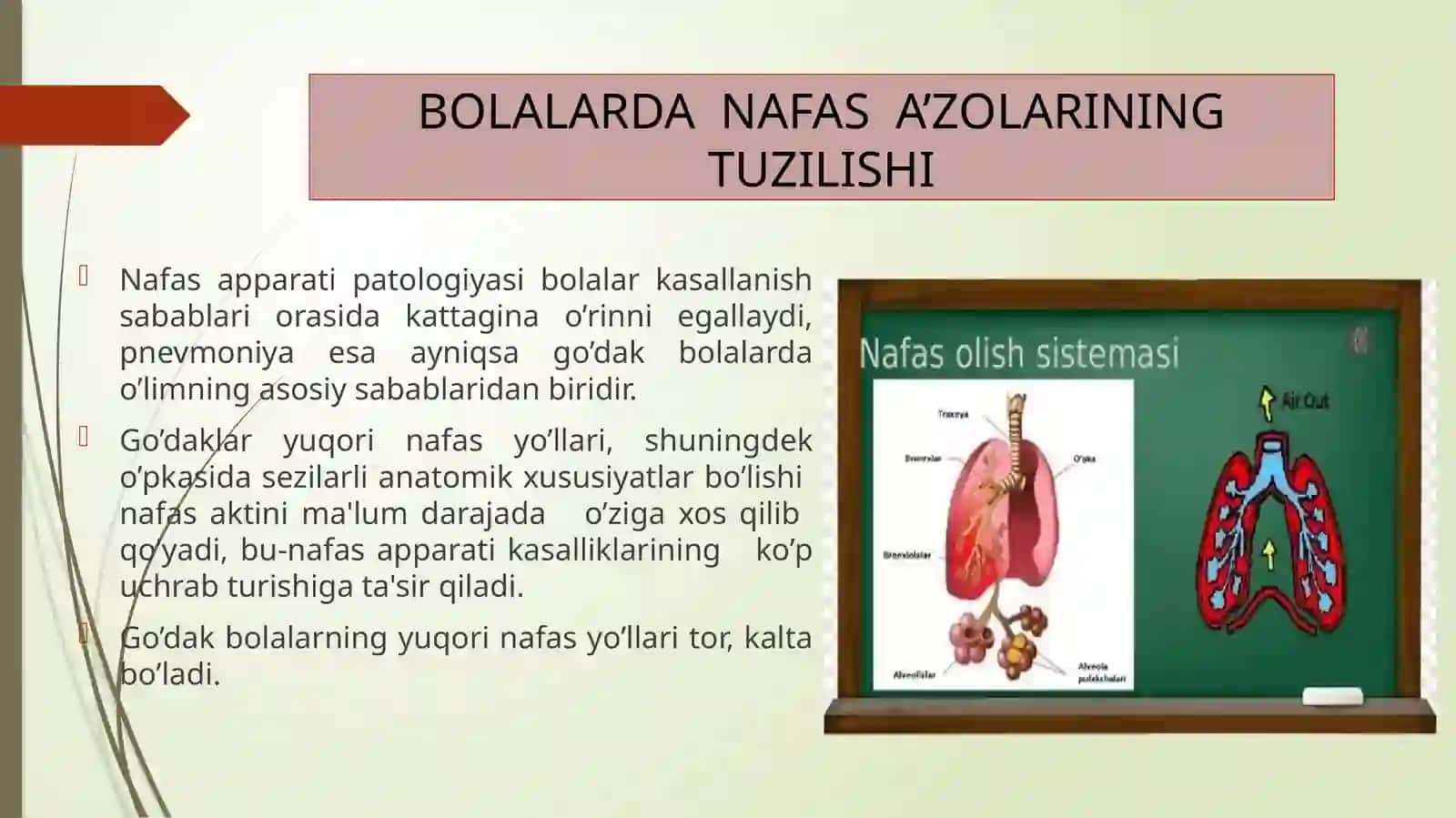 NAFAS A’ZOLARI TIZIMINI BAHOLASH VA KASALIKLARDA BOLA VA UNING OILA A’ZOLARIGA HAMSHIRALIK PARVARISHI 2