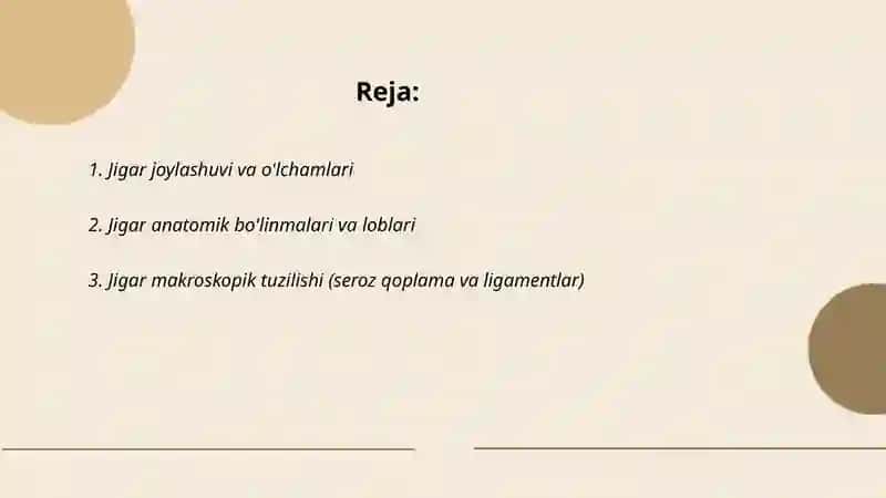 Jigar joylashuvi, tuzilishi,vazifasi 2