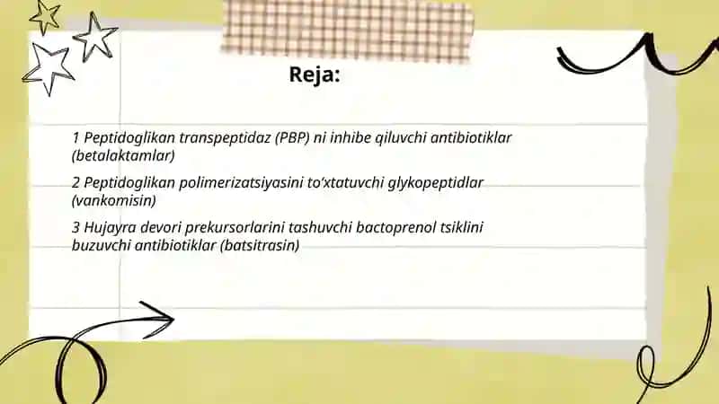 Antibiotiklarni bakteriyalarga qarshi tasir mexanizmi 2