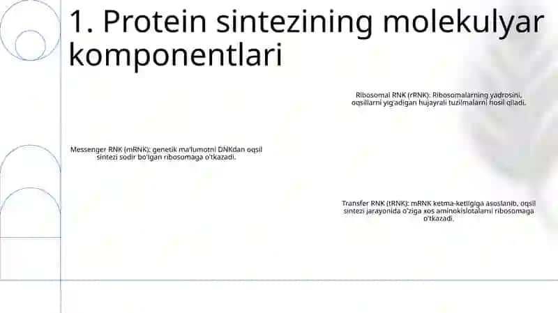 Oqsil Biosintezi 2