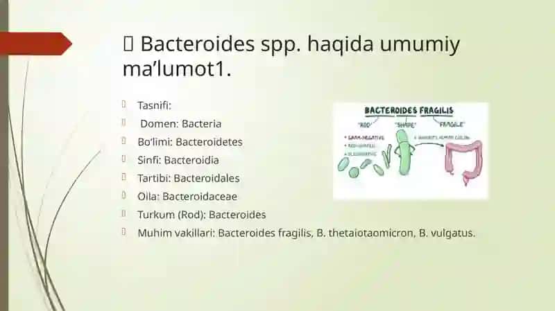 Patogenanerobklostridial bo’lmagan infeksiya qo’zg’atuvchilari kasalliklar patogenezi 2