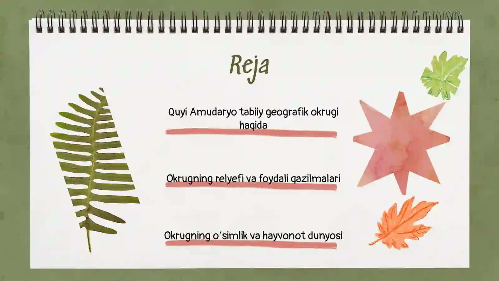 Quyi Amudaryo tabiiy geografik okrugi 2