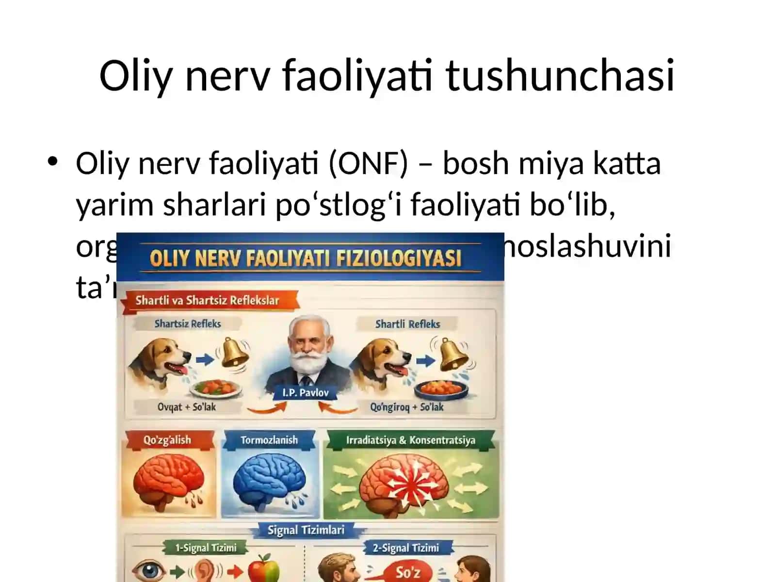 Oliy nerv faoliyati fiziologiyasi 2