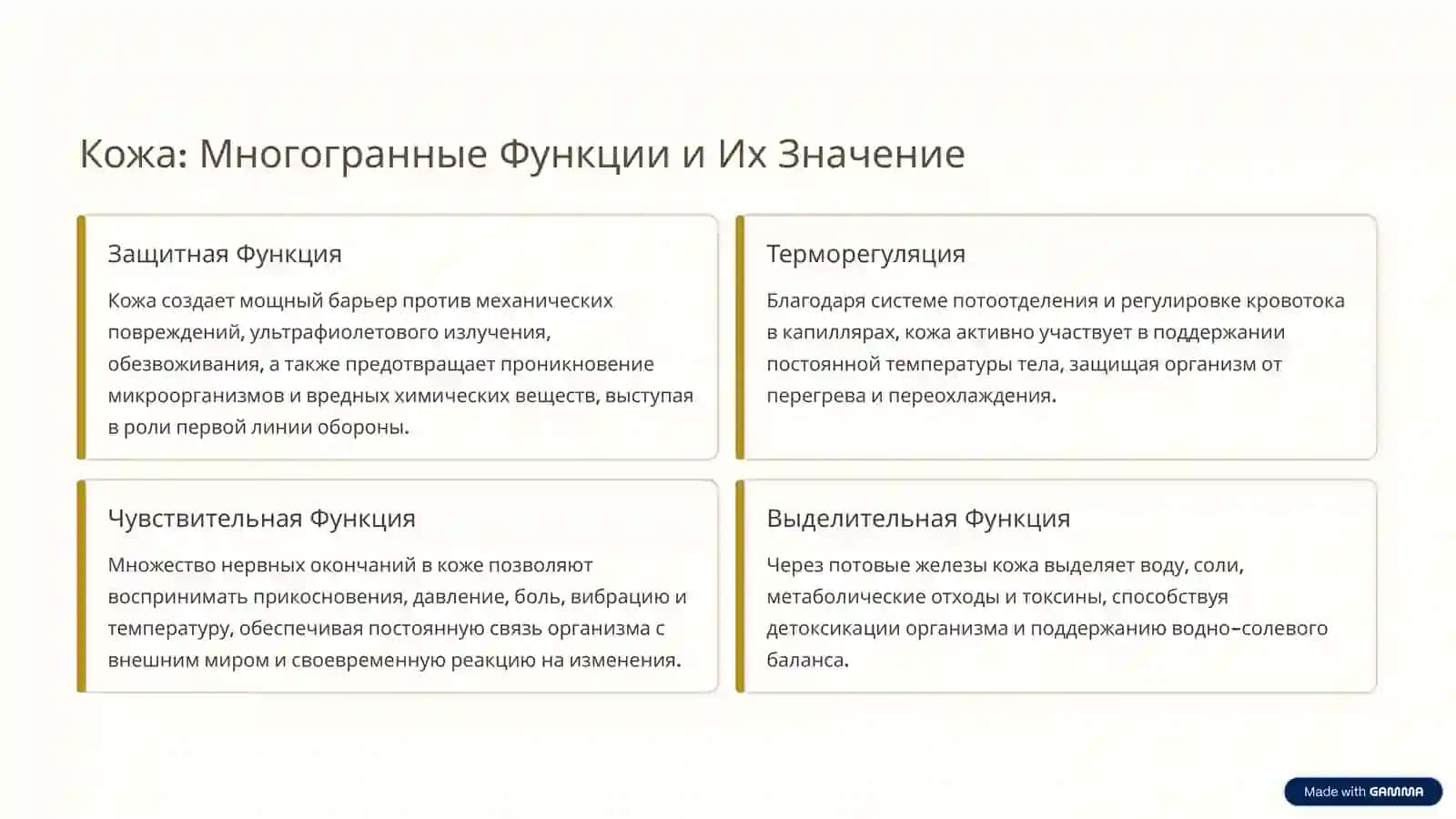 Кожа — Основной Орган и Ее Жизненно Важные Функции 2