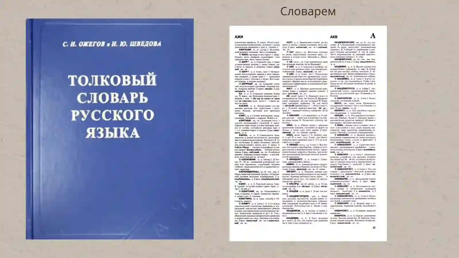 Макро и микро структуры словаря Ожегова и Шведовой 2