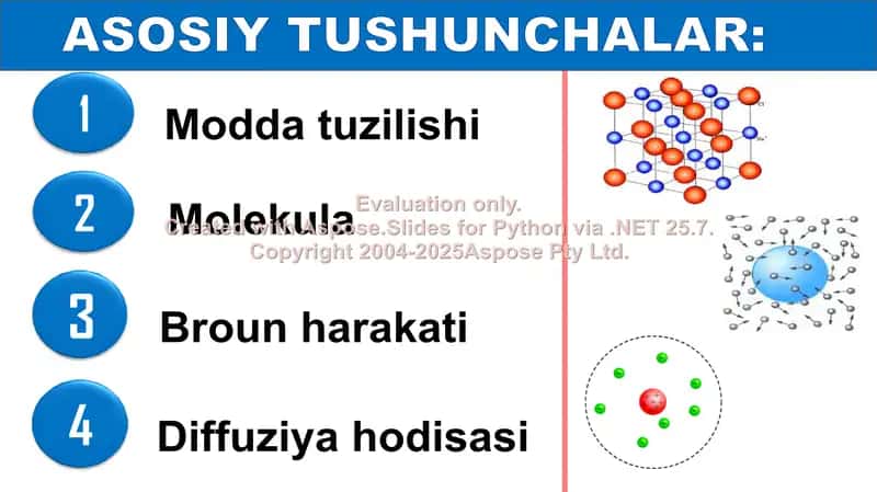 Modda Tuzilishi va Mexanik Hodisalar Bobini Takrorlash 2