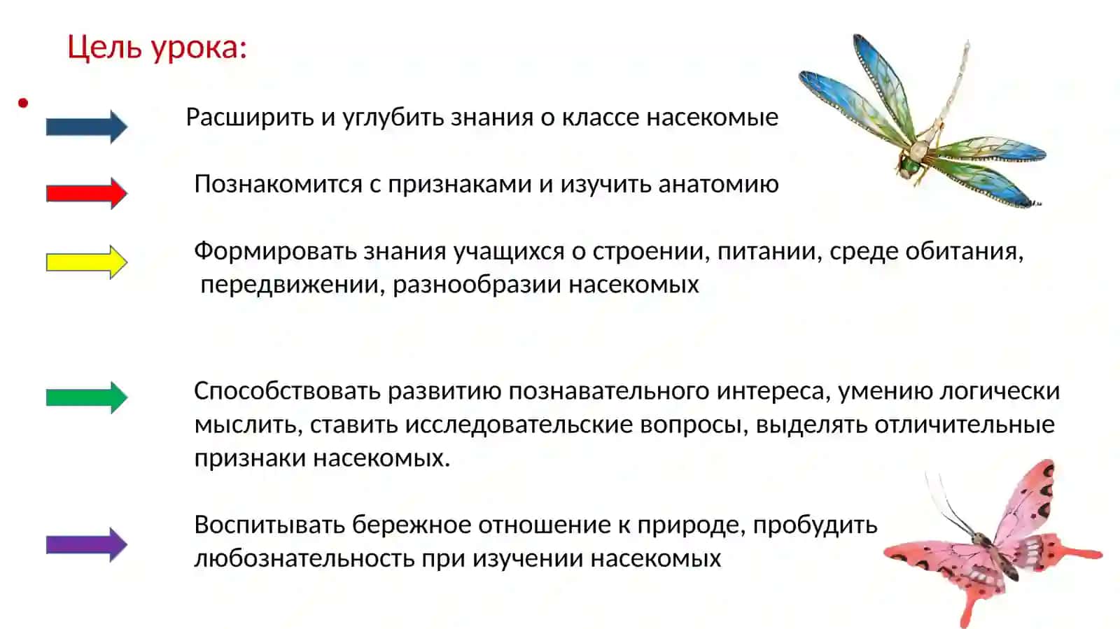 Презентация на тему:«Насекомые» 2
