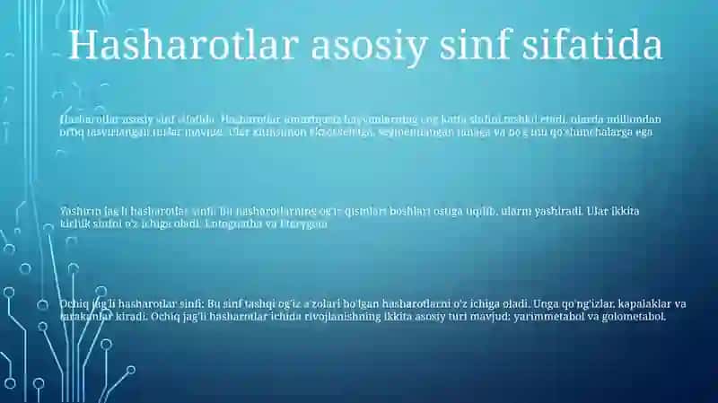 Hasharotlar Katta Sinfi: Vakillarining Tuzilishi Va Ko'Payishi 2