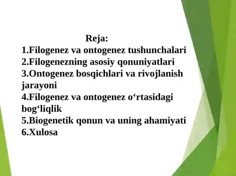 FILOGENEZ VA ONTOGENEZ, ULARNING O‘ZARO BOG‘LIQLIGI 2