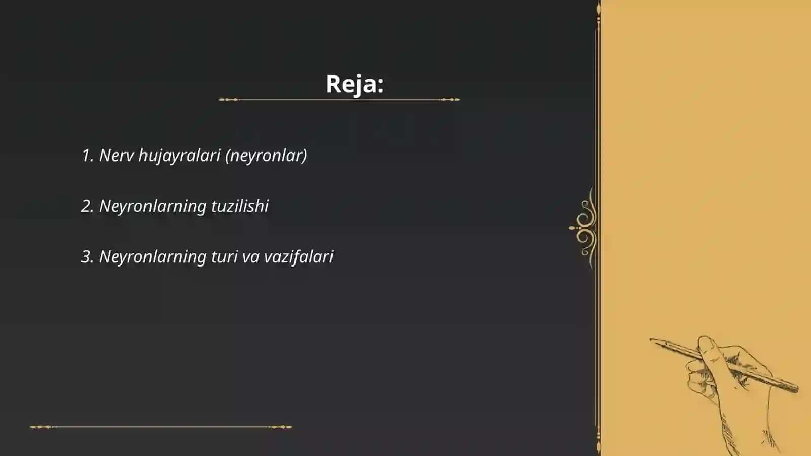 Nerv sistemasi fiziologiyasi 2