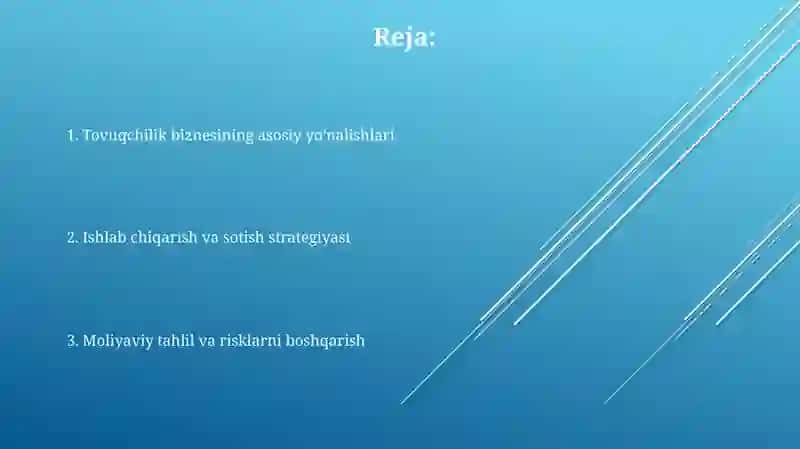 Tovuq biznes 2