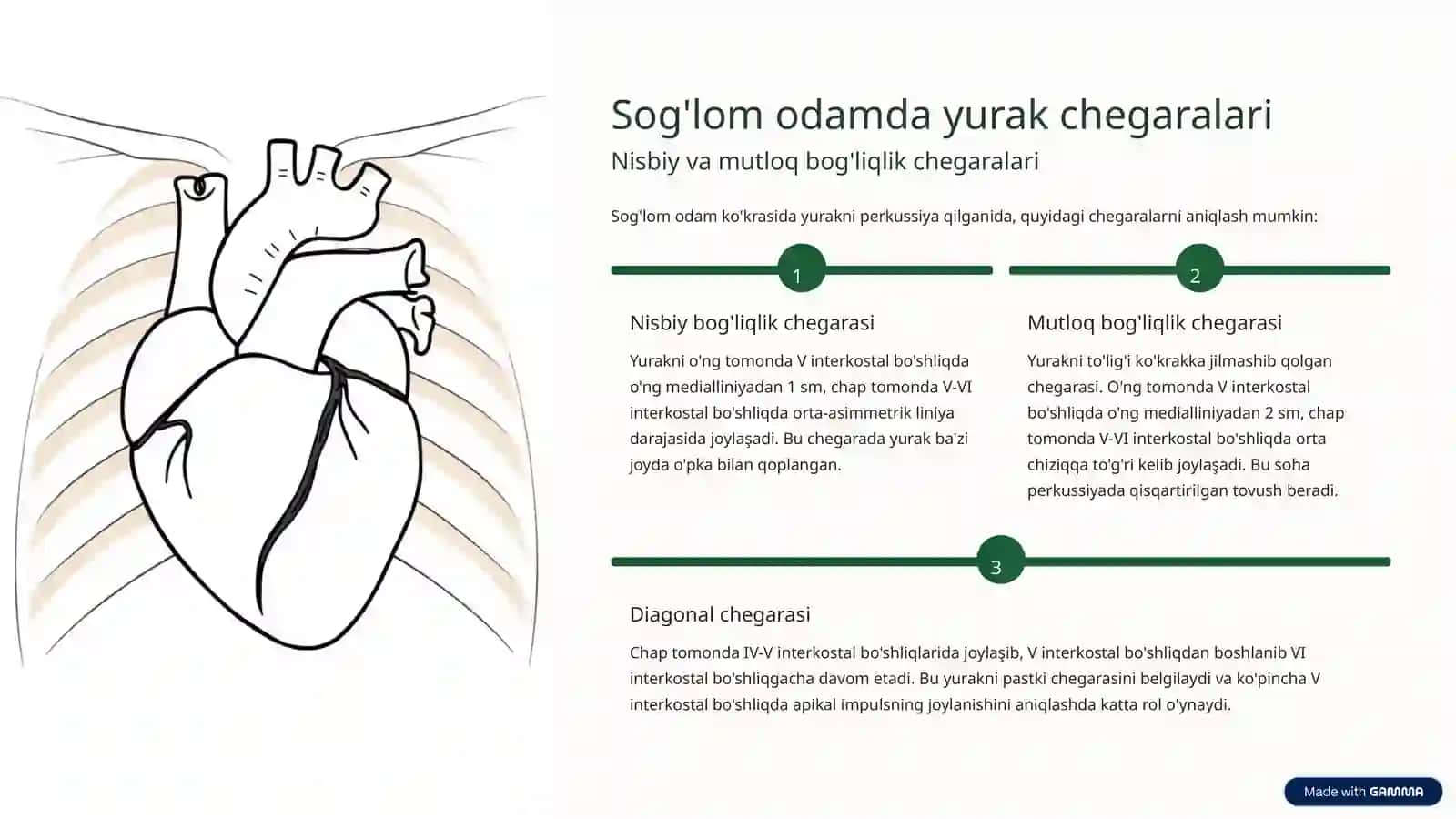 Yurak perkussiyasi 2