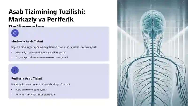 Nevrologik Sindromlarning Anatomik Asoslari 2