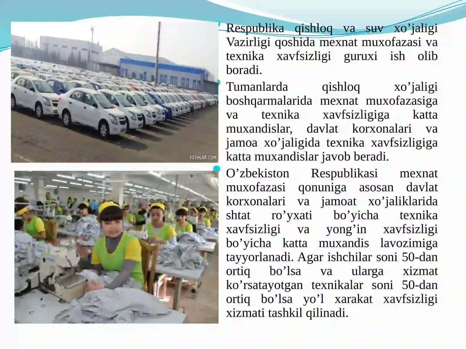 Qishloq xo‘jalik ishlab chiqarishda mehnat muxofazasi ishlarini tashkil etish. Ergonomik va xavfsizlikni boshqarish 2