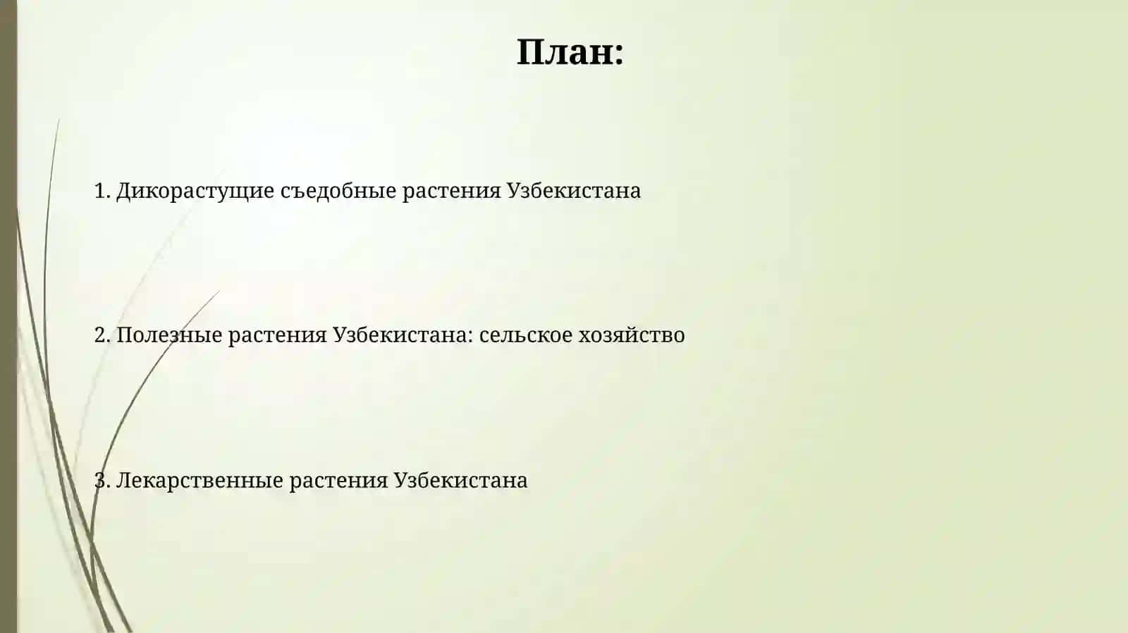 Полезные растения Узбекистана 2