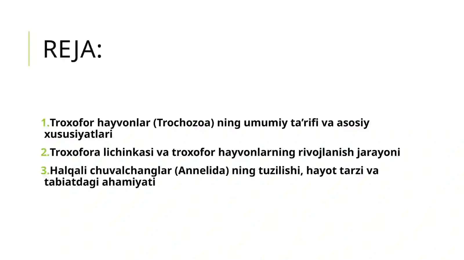 Troxofor hayvonlar (Trochozoa) ning umumiy ta'rifi. Halqali chuvalchanglar (Annelida) 2