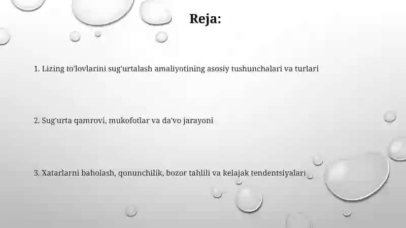 Lizing hafini sug'urta qilish amaliyoti 2