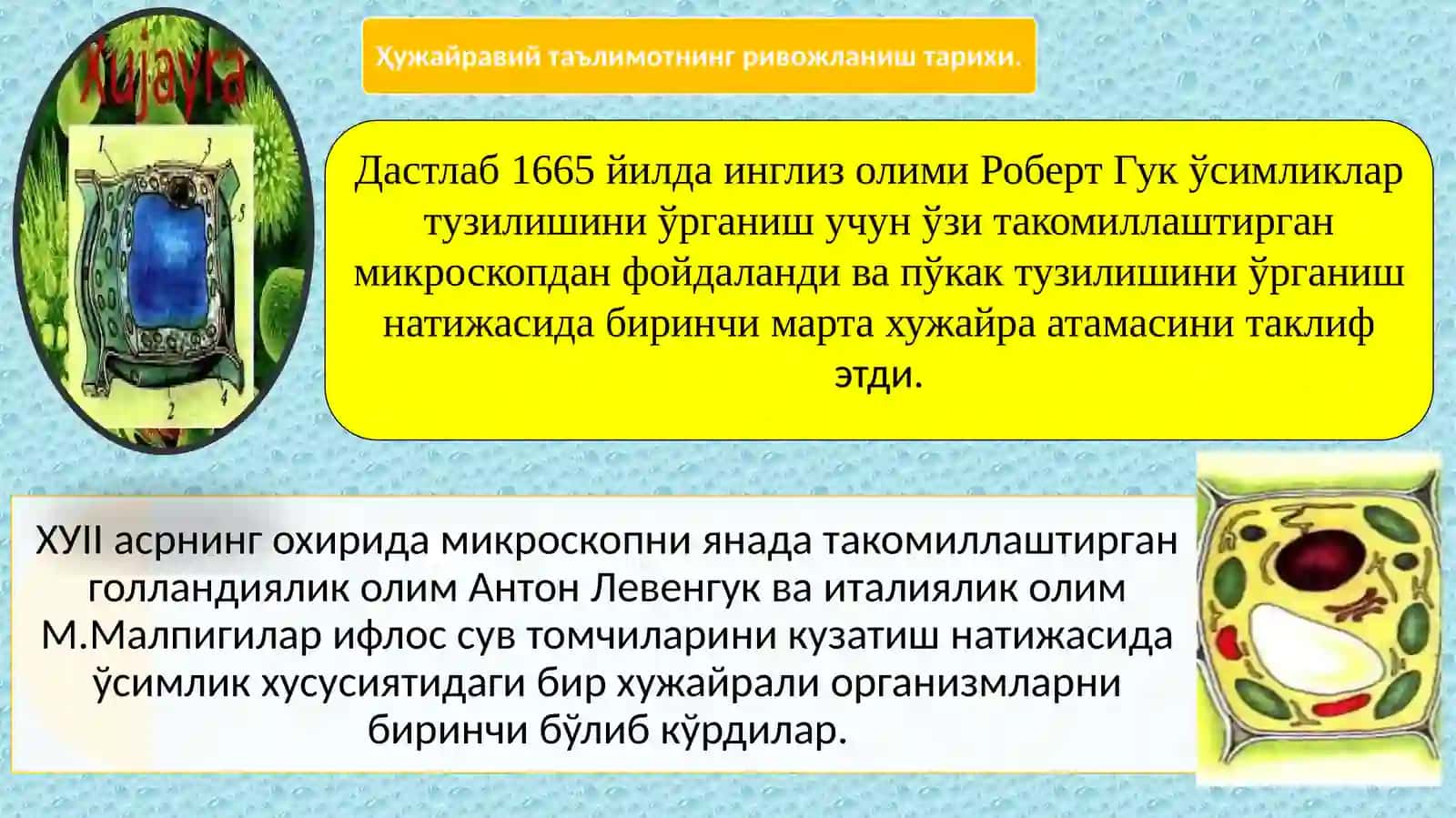 Хужайра назарияси 2