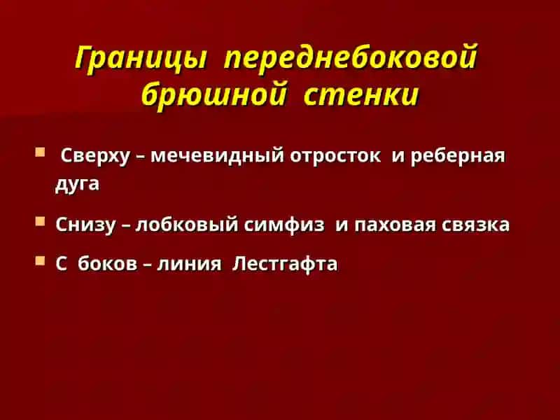 Лекция № 6 - Клиническая анатомия 2