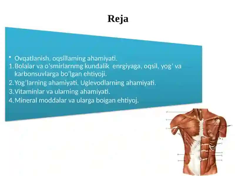 Moddalar va energiya almashinuvi yosh xususiyatlari va gigienasi. Vitaminlar 2