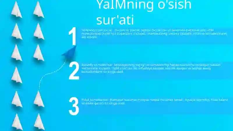 YaIMning o'sish sur'ati 2