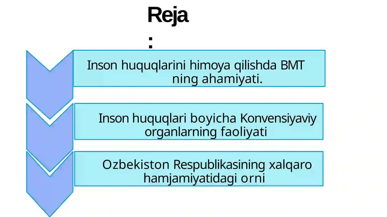 Inson huquqlarini muhofaza qilishning xalqaro mexanizmlari 2