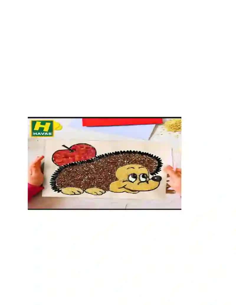 Urugʻlardan applikatsiya yasash 2