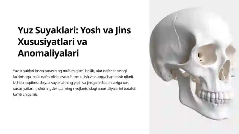 Yuz Suyaklari: Yosh va Jins Xususiyatlari va Anomaliyalari 2