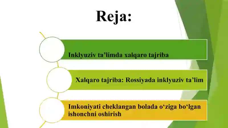 Inklyuziv taʼlimning rivojlanishida xalqaro tajribalar. 2