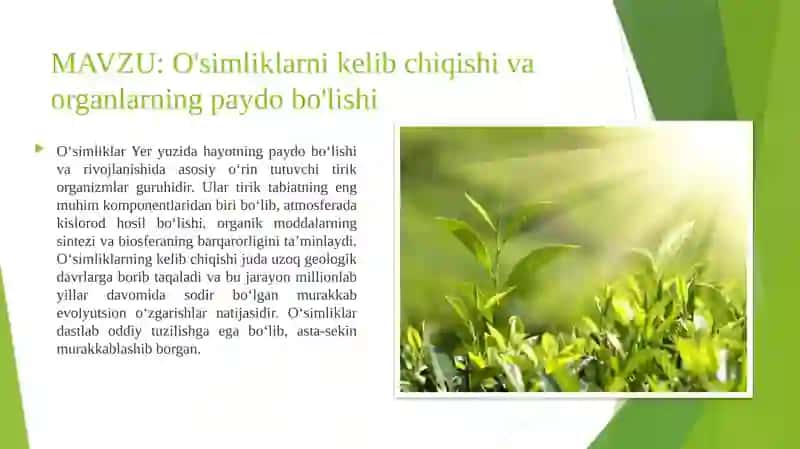 O'simliklarni kelib chiqishi va organlarning paydo bo'lishi 2