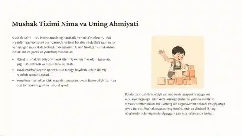 Bolalarda mushak tizimini anatomo-fiziologik hususiyatlari 2
