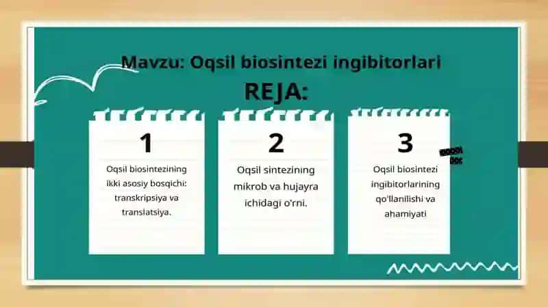 Oqsil biosintezi ingibitorlari 2